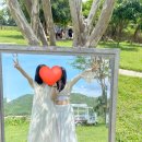 미화농장 | 자매가 함께하는 나트랑 3박 5일의 4-5일차