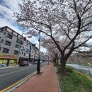 덕신강변공인중개사사무소 이미지