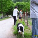 강림목장 이미지