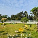 개덩이네 하우스 이미지