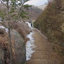 해룡로 | 세븐블럭캠핑장, 놀거리 많고, 산책길이 좋은 반려견 동반 포천캠핑장 후기