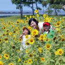 꽃지해안공원 이미지