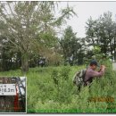 영진3리 이미지