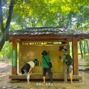 문경당건강 | 문경새재 맨발 걷기 후기(코스, 소요시간, 무료 신발장 등)