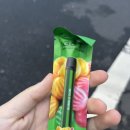타바코스테이션