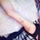 세미콜론(SEMICOLON)