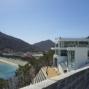 모이핀