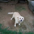 훈이네펜션 이미지