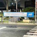 유성 유림공원 국화축제 n년차 후기 - 일정, 주차, 포토존, 주변 맛집 추천