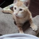 보현정사 앞 이미지