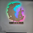 래빗온더문 이미지