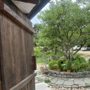 카페폴라 이미지