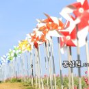 동심원 Daum카페