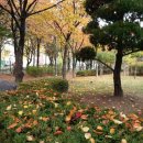 가좌근린공원 이미지