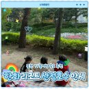 안시 | 포천 산정호수 가족여행 숙소 한화리조트 안시 바베큐장 후기
