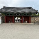 분황사주차장 | 경주 분황사 모전석탑 천년역사와 황금 코스모스 가을 가족여행