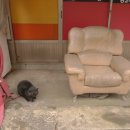 영남이발관 이미지