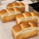 제빵 기능사 이미지