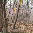 증평석유 이미지