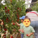 새미르어린이집 이미지