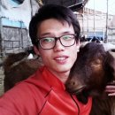 다모아농장 이미지