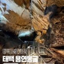 용연동굴 | 태백 가볼만한곳 아이랑 가도 좋은 용연동굴