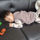 세담방 이미지