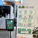 힐링에세이+ 숲(영흥수목원) | 수원 영통 '영흥수목원' 아이와 가볼만한곳! 온실·체험프로그램·스탬프투어 솔직후기