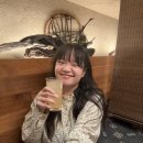 도쿄 이자카야 현지인 맛집 고탄다 왓타리보즈 사케 무제한 추천!