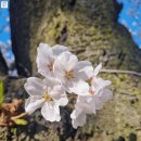 가제산 정상 이미지