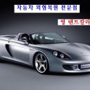 영덴트칼라
