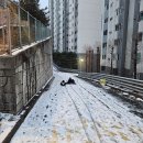 부자찬방 | 겨울방학 대참사