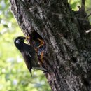 주남저수지 이미지