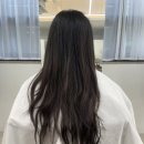 파주고양이 미용실 | 파주 야당 미용실 추천 매직세팅 후기 헤넬뷰티 야당점