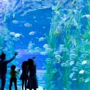 석촌드림약국 이미지