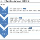 아킬레스건(염)이란 (약혐사진주의) 이미지