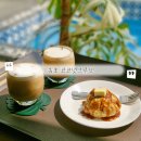 코코넛그루브 | 속초해수욕장 근처 카페 속초에서 제일 예쁜카페 코코넛그루브