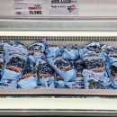 블루베리 | 트레이더스 냉동 블루베리 내돈내산 후기