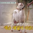 삼 목장 이미지