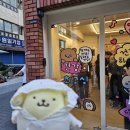 서면건강원 | 부산여행코스 돌기 5편-서면 최고심 팝업스토어 건강원 둘러보기!