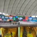 B35-1 | ‘26년 도쿄여행 : WBC C조경기 관람 (일본전,대만전,호주전)