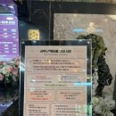 태백호텔사우나 이미지