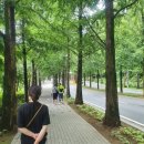 대신펠리체 이미지