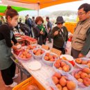 해안면힐링하우스 이미지