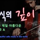 첼로 (A) 네이버블로그