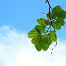 너 나 우리 이미지