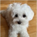 바른치과의원 이미지