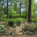 문배농장 | 말없이 위로하는 홍릉숲