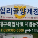 장미산 농장 이미지