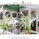 봄을담다 이미지